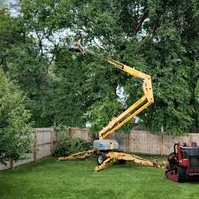 Leaf Removal in Oak Hills, CA